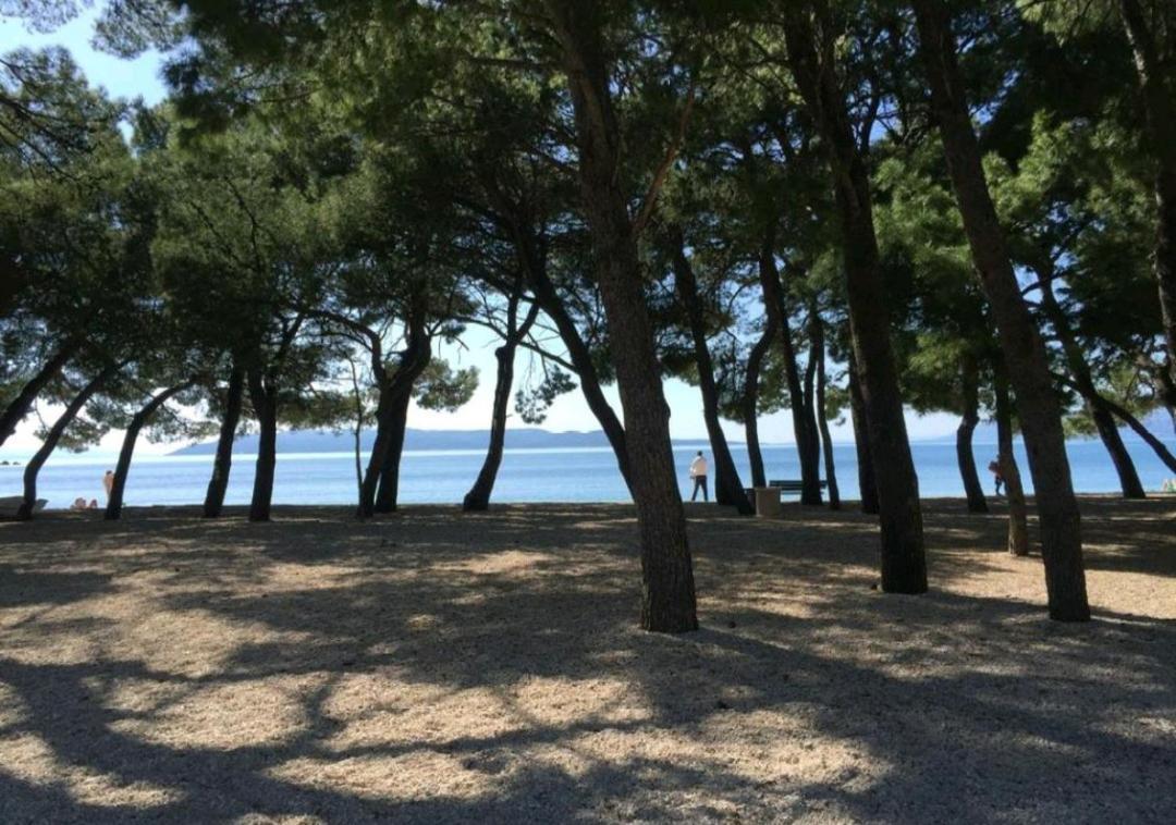 Apartma Larita